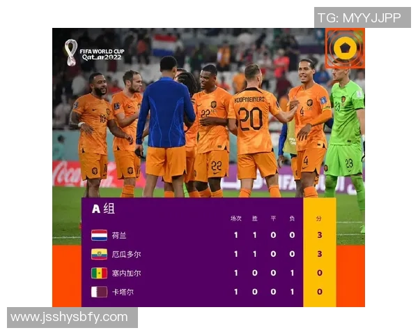 南京足球队强势领跑世界杯积分榜73分稳居第一