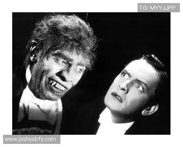 杨丽的足球人生深度对话：从球场到人生的精彩旅程与成长故事