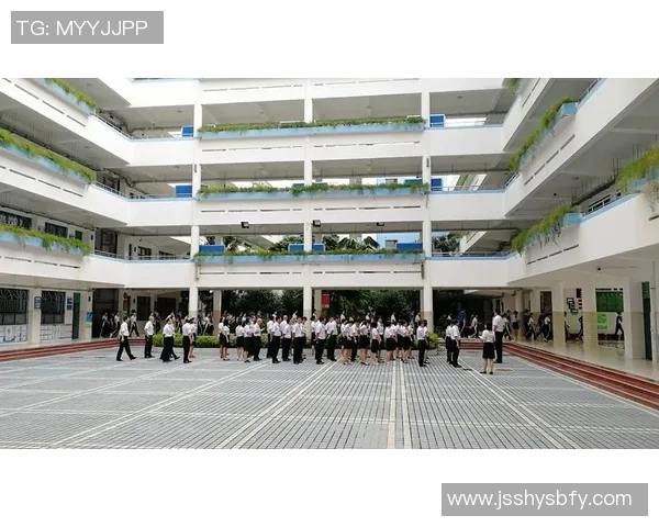 深圳飞盘队实力分析与表现评估探讨